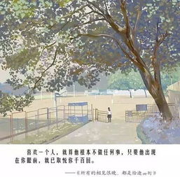 《相逢恨晚》——遇见久别的花，绽放你的春日记忆