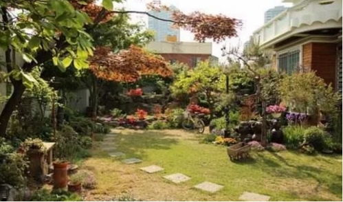 1. 落叶清理， 别让它们堆成山