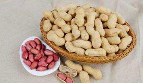 花生价格的涨涨落落