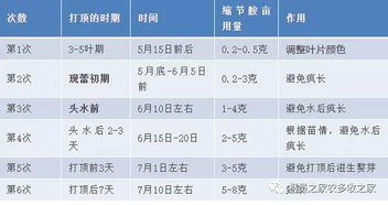 百菌清：那神秘的白色晶体