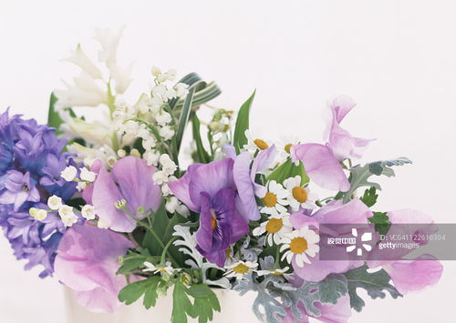 花开花落，季节的印记