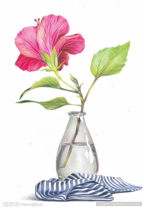 植物花卉图片大全？这些图美得如画