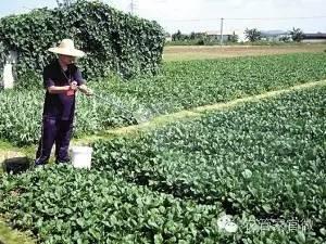 浇到树上了树会死吗？