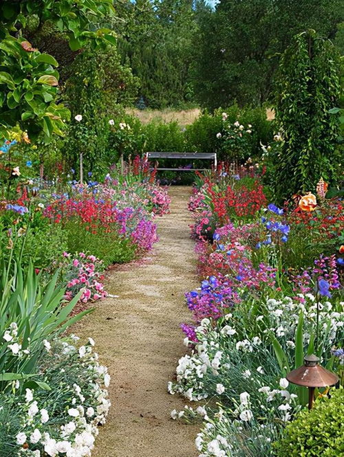 道路两旁的绿色卫士