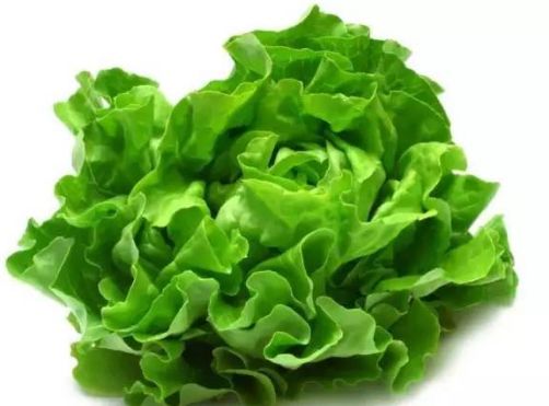 “生菜根变宝，种出新菜花，家居绿植新宠！”