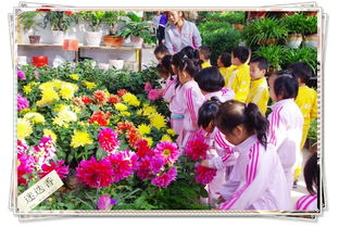 宠物市场也彳艮有趣