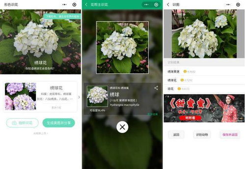 形色：识花利器， 拍照即知花名