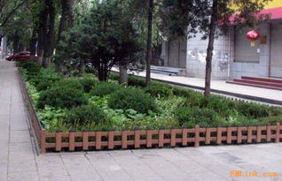 南方园林景观树种有哪些