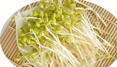 豆芽的辨别方法