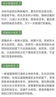 植物药害防治指南中，有哪些具体的药害处理与修复技巧可以应对不同类型的药害问题