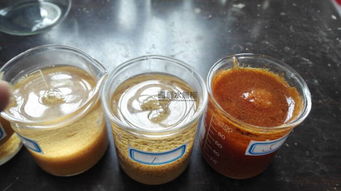 枣树根煮水饮用：小心重金属中毒的风险！