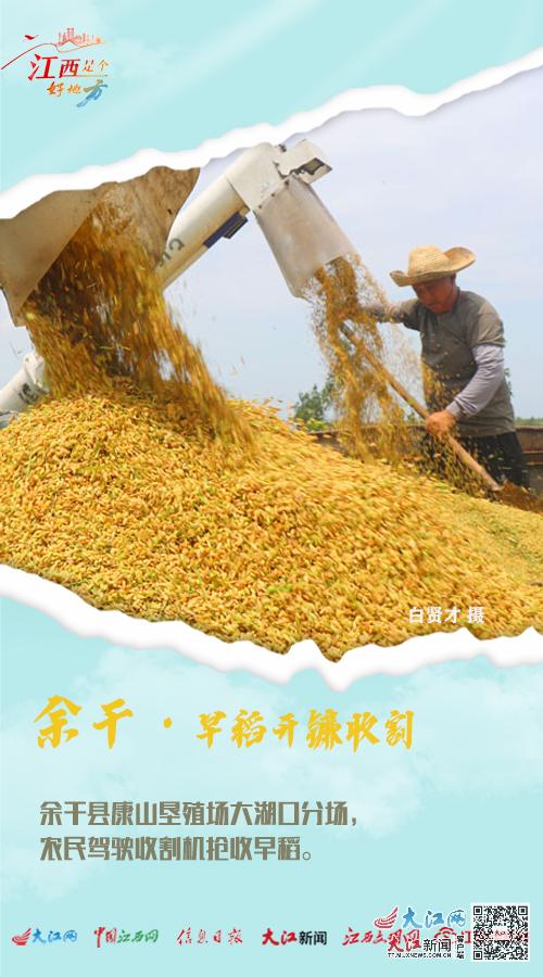 鱼米双，乡里藏着丰收的秘密
