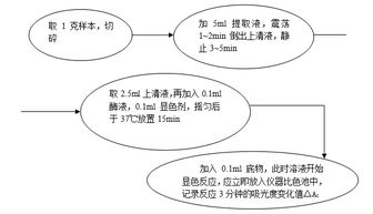 专家，专家，快来救救我