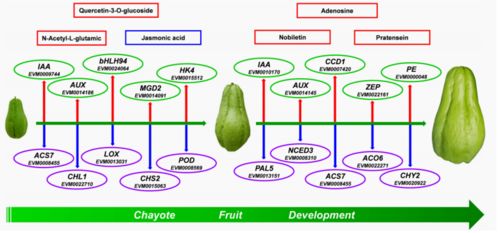 揭秘水循环：农业领域不可或缺的三种基本循环机制