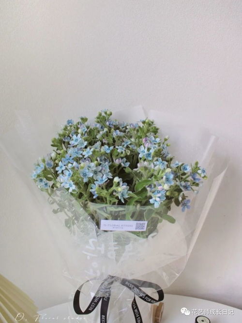 “温柔之花（温柔之花）是什么花