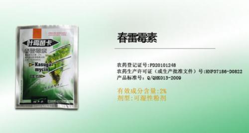 灰霉病的烦恼，特效药的福音