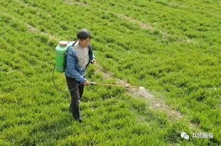 现场急救，刻不容缓