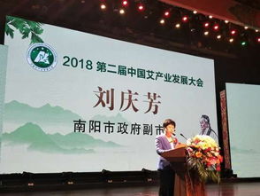 艾草大会在南阳举行，热闹非凡！