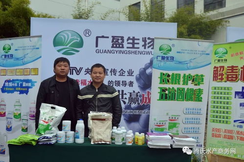 广西南宁优质茶籽苗供应，湖南茶油产业核心联系点！