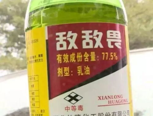 介虫用敌敌畏怎么杀？