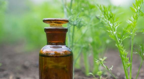 一、 剧毒农药：小心谨慎，远离药害