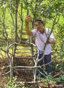 雨天种植，这两招可依救急