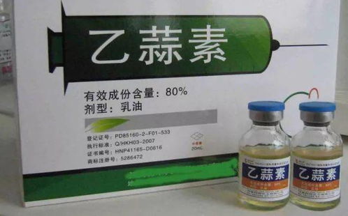 泥鳅白尾病克星：特效药盘点