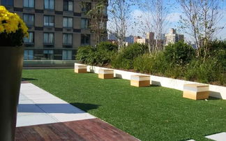 屋顶绿化，企业监管是关键