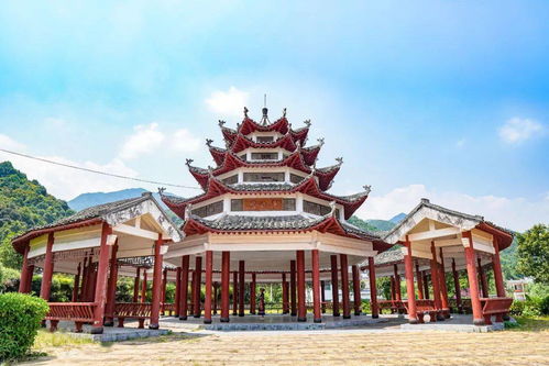 兰花花谢后如何处理才能使其重新绽放