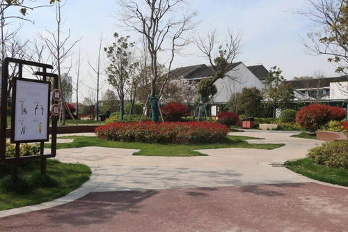 昌吉市的现代化城市目标