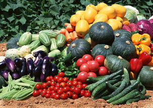 营养补充，增强免疫力