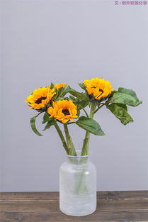 探索地下两米的神秘水域，揭秘适合种植的花卉品种！