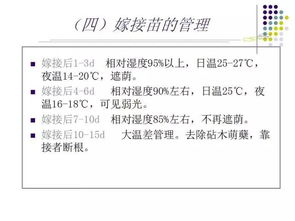 沙藏催芽的黄金公式