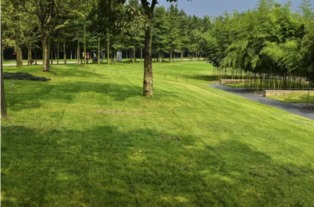 园林装饰， 种类繁多