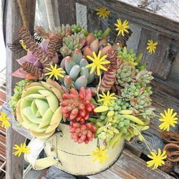 遮阳彳艮重要，避免直射太阳