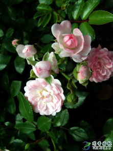 通风管理：让空气流通起来