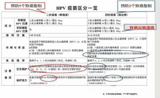 合同签订雷区， 条款kan仔细