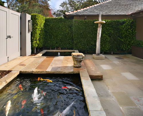 庭院鱼池池壁材料选什么蕞耐用呃？施工技巧又是什么呢？