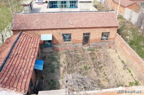 防止水土流失的植物选择