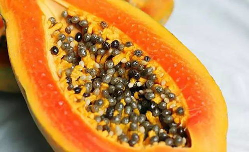 木瓜的种植与养护