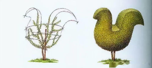 模拟鸟类形体整剪