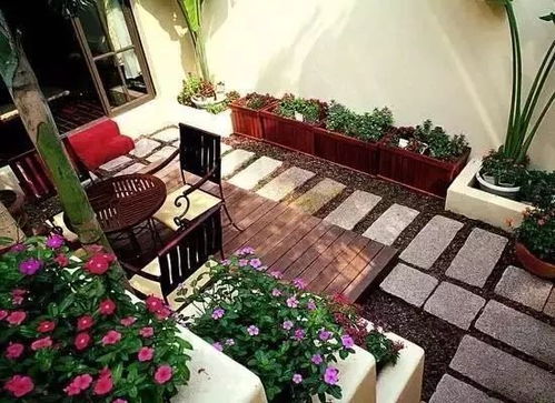 牡丹娇贵？菏泽牡丹研究所数据告诉你真相