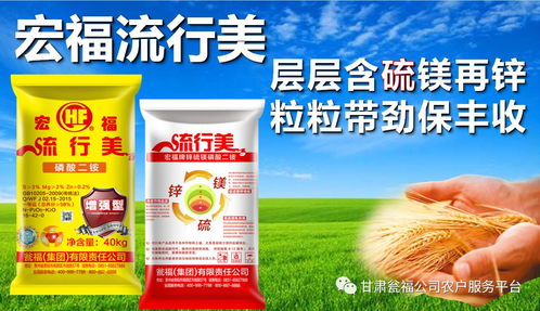 福州花农老陈的案例， 真是让人大开眼界