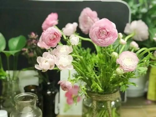 这种花材花束的名字和特bie寓意