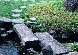 打造水生花园：掌握流水养鱼技巧，提升观赏价值