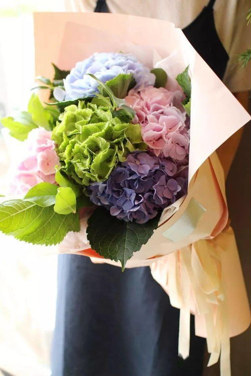 这种花朵的香气为何能传递如此纯洁的爱意