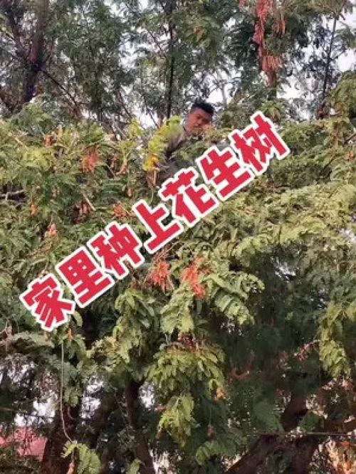 固土先锋榜单， 你值得拥有