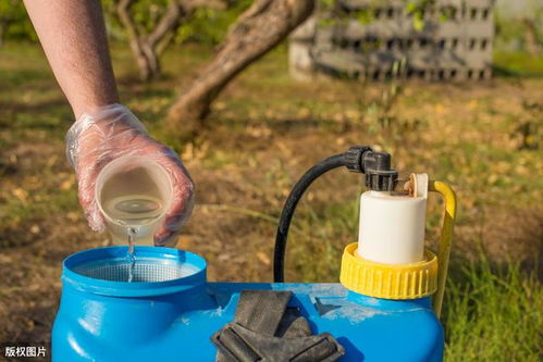 如何根据杀虫剂药效评价农药的药效和防效，判断其长期效果？