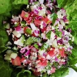 月季界的明星:彼得波斯月季