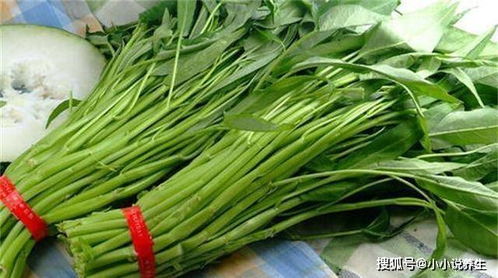 “空心菜：一年生蔬菜，长势旺盛，花季无限！”